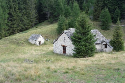 Solcio (15)
