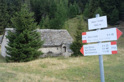 Solcio (17)