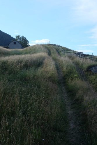 Solcio (2)