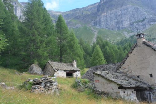 Solcio (21)