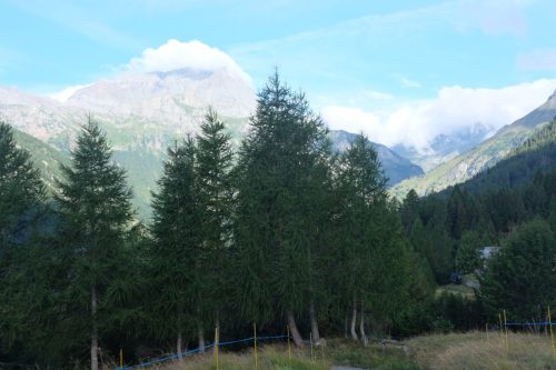 Solcio (3)