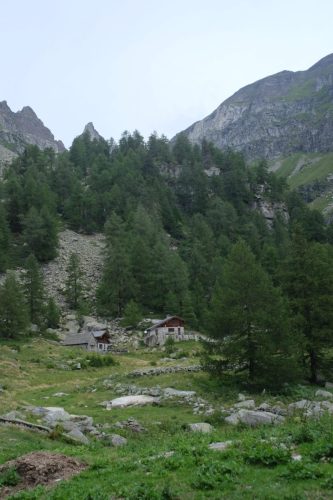 Solcio (55)
