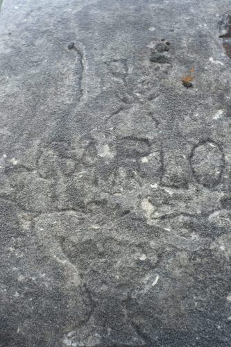 Solcio (67)