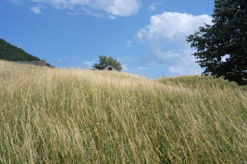 Solcio (73)