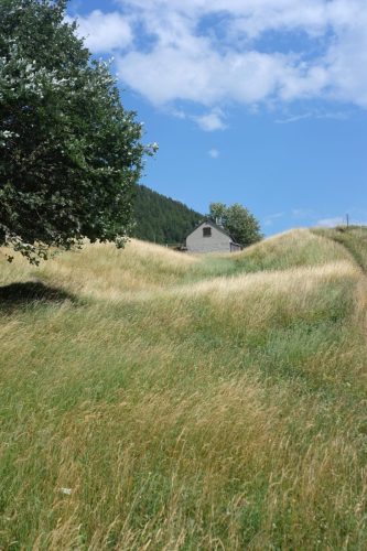 Solcio (74)