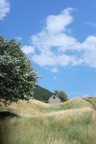 Solcio (75)