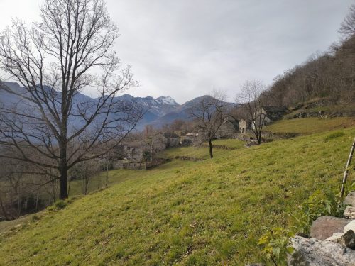 premosello (14)