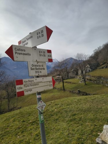 premosello (20)