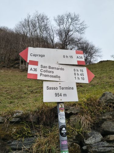 premosello (45)